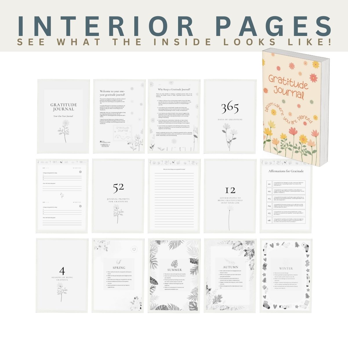 Gratitude journal with interior pages displayed and a cover view.